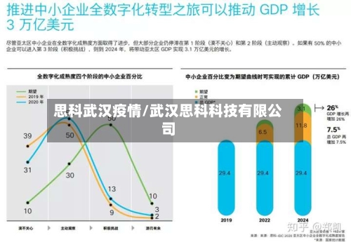 思科武汉疫情/武汉思科科技有限公司-第1张图片