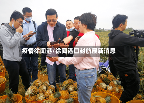 疫情徐闻港/徐闻港口封航最新消息-第1张图片