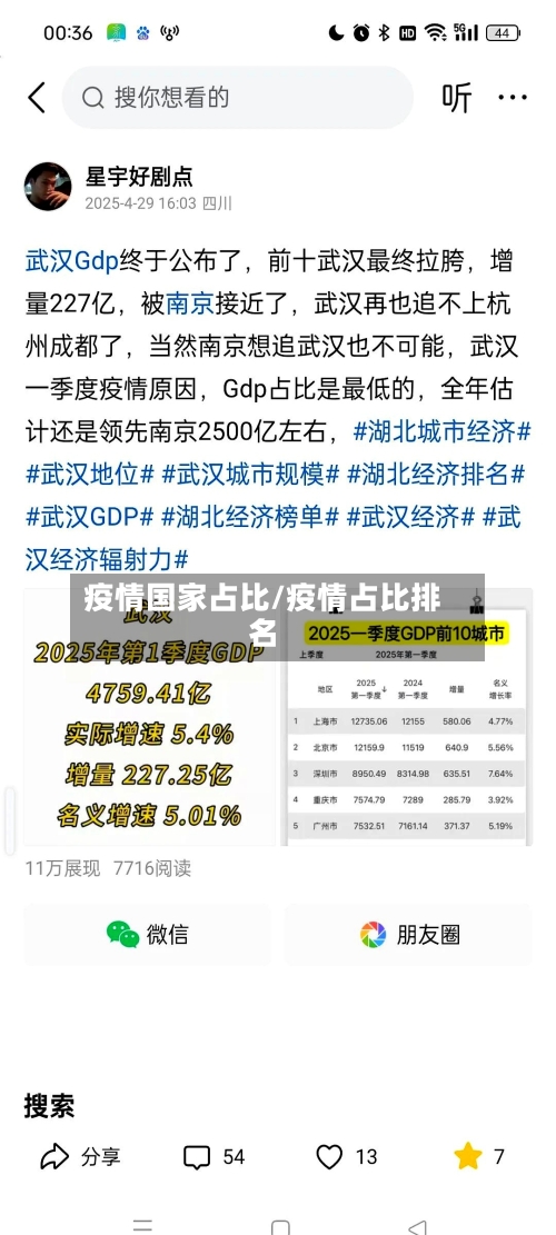 疫情国家占比/疫情占比排名-第1张图片