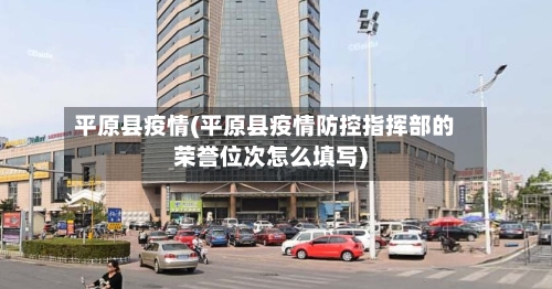 平原县疫情(平原县疫情防控指挥部的荣誉位次怎么填写)-第1张图片