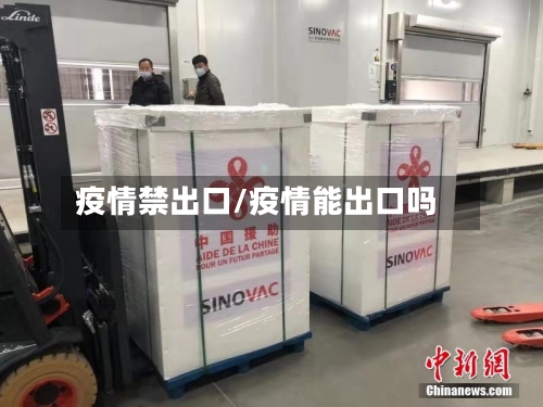 疫情禁出口/疫情能出口吗-第3张图片