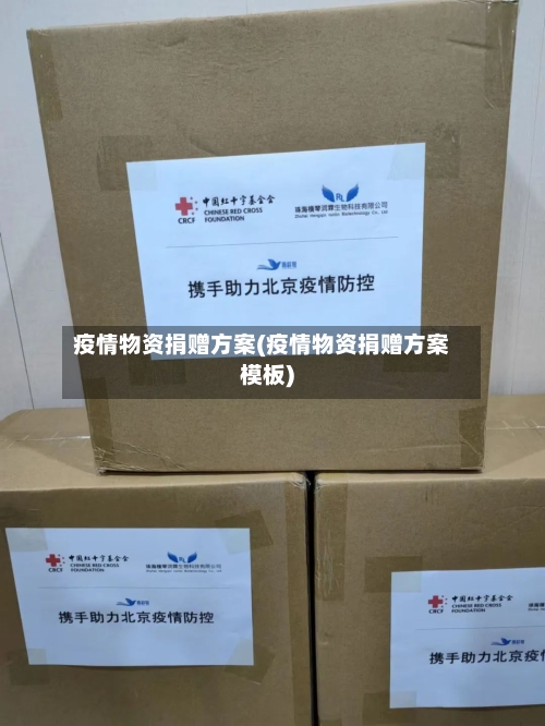 疫情物资捐赠方案(疫情物资捐赠方案模板)-第1张图片