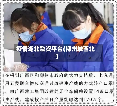 疫情湖北融资平台(柳州城西北)-第1张图片