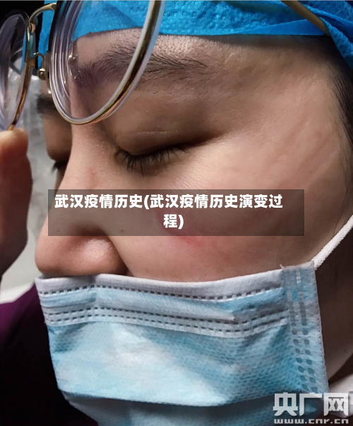 武汉疫情历史(武汉疫情历史演变过程)-第3张图片