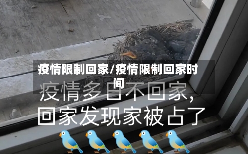 疫情限制回家/疫情限制回家时间-第1张图片