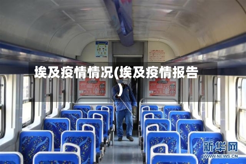 埃及疫情情况(埃及疫情报告)-第2张图片