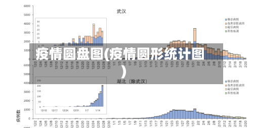 疫情圆盘图(疫情圆形统计图)-第2张图片