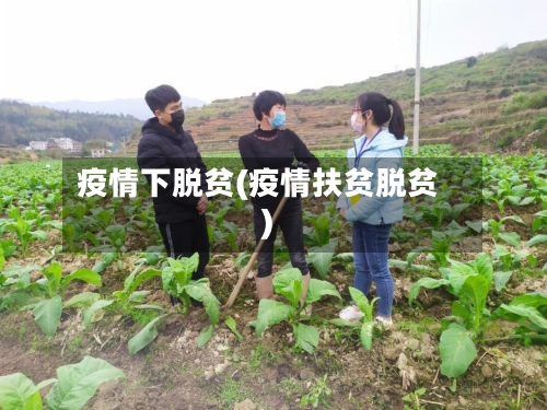 疫情下脱贫(疫情扶贫脱贫)-第1张图片
