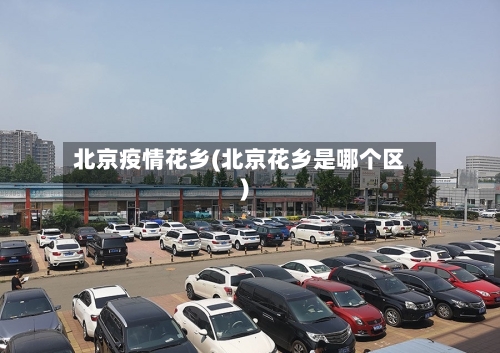 北京疫情花乡(北京花乡是哪个区)-第1张图片