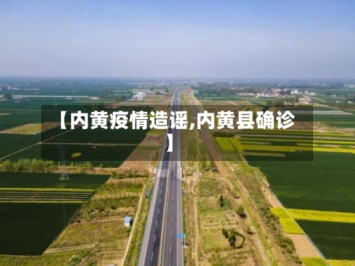 【内黄疫情造谣,内黄县确诊】-第1张图片