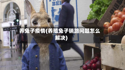 养兔子疫情(养殖兔子销路问题怎么解决)-第2张图片