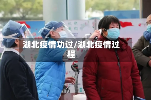 湖北疫情功过/湖北疫情过程-第1张图片