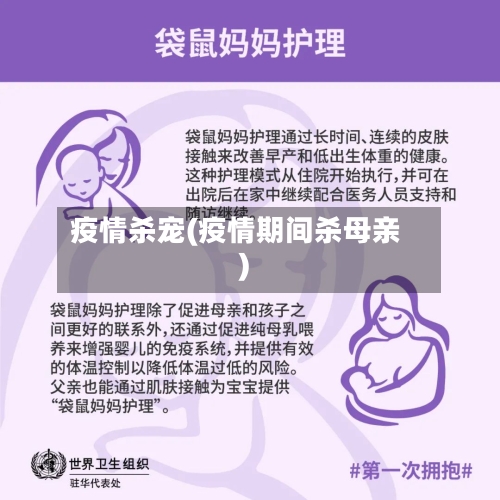 疫情杀宠(疫情期间杀母亲)-第1张图片