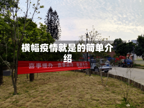 横幅疫情就是的简单介绍-第1张图片