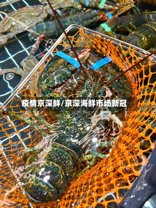 疫情京深鲜/京深海鲜市场新冠-第2张图片