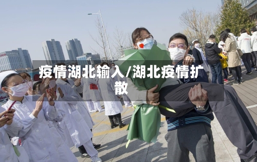 疫情湖北输入/湖北疫情扩散-第1张图片