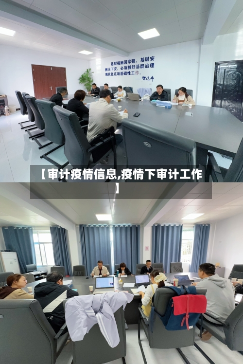 【审计疫情信息,疫情下审计工作】-第1张图片