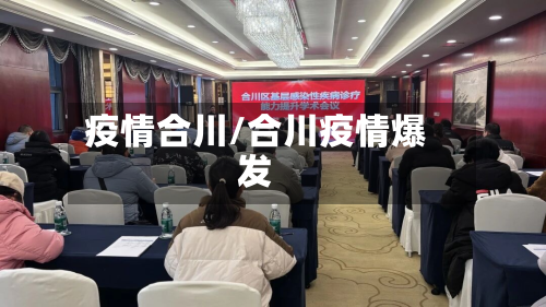 疫情合川/合川疫情爆发-第1张图片