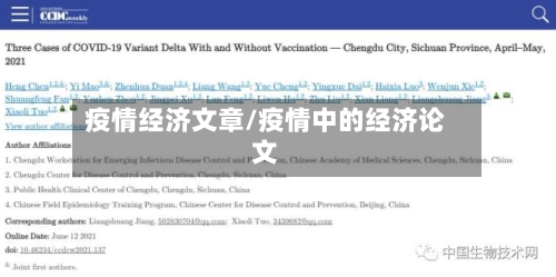 疫情经济文章/疫情中的经济论文-第2张图片