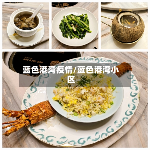 蓝色港湾疫情/蓝色港湾小区-第1张图片