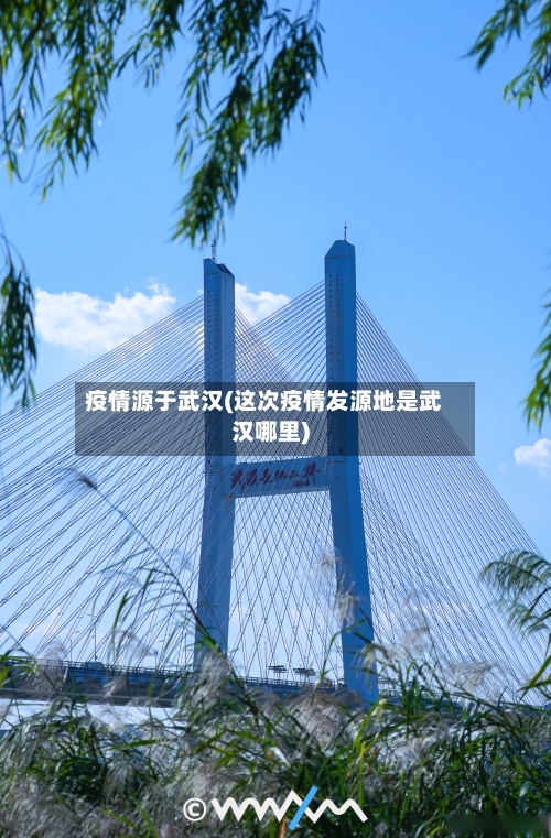 疫情源于武汉(这次疫情发源地是武汉哪里)-第1张图片