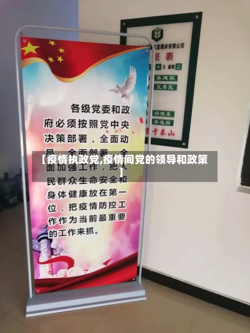 【疫情执政党,疫情间党的领导和政策】-第1张图片