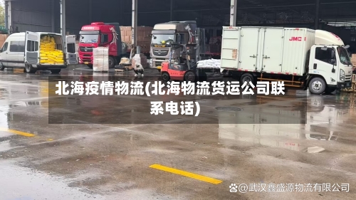 北海疫情物流(北海物流货运公司联系电话)-第1张图片