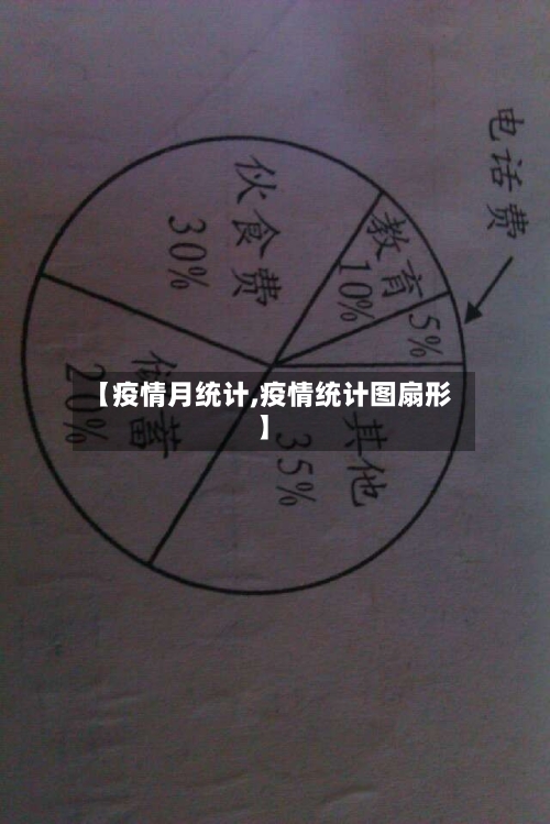 【疫情月统计,疫情统计图扇形】-第1张图片