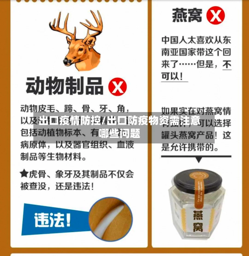 出口疫情防控/出口防疫物资需注意哪些问题-第1张图片