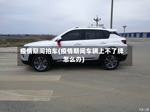疫情期间拍车(疫情期间车辆上不了牌怎么办)-第1张图片