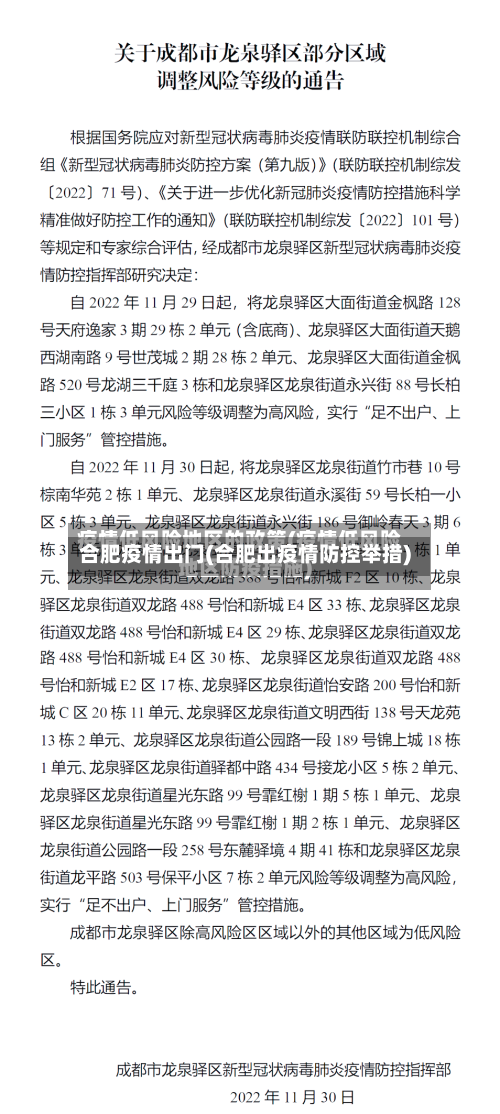合肥疫情出门(合肥出疫情防控举措)-第1张图片