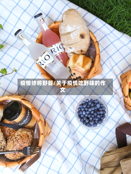 疫情终将野餐/关于疫情吃野味的作文-第2张图片