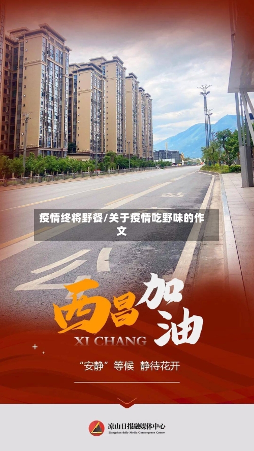 疫情终将野餐/关于疫情吃野味的作文-第1张图片