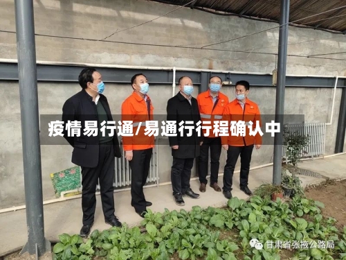 疫情易行通/易通行行程确认中-第1张图片