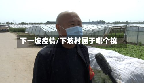 下一坡疫情/下坡村属于哪个镇-第2张图片