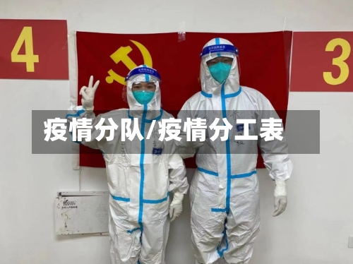 疫情分队/疫情分工表-第1张图片