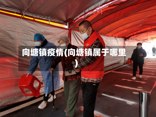 向塘镇疫情(向塘镇属于哪里)-第1张图片