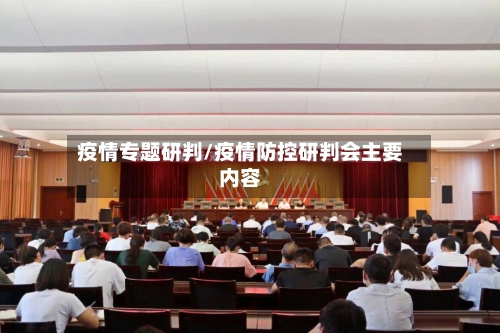 疫情专题研判/疫情防控研判会主要内容-第2张图片