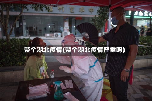 整个湖北疫情(整个湖北疫情严重吗)-第1张图片