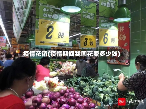 疫情花销(疫情期间我国花费多少钱)-第1张图片