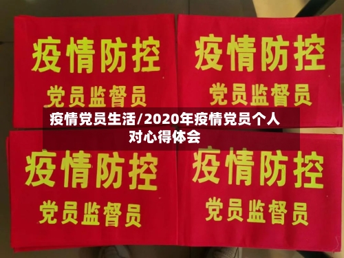 疫情党员生活/2020年疫情党员个人对心得体会-第1张图片