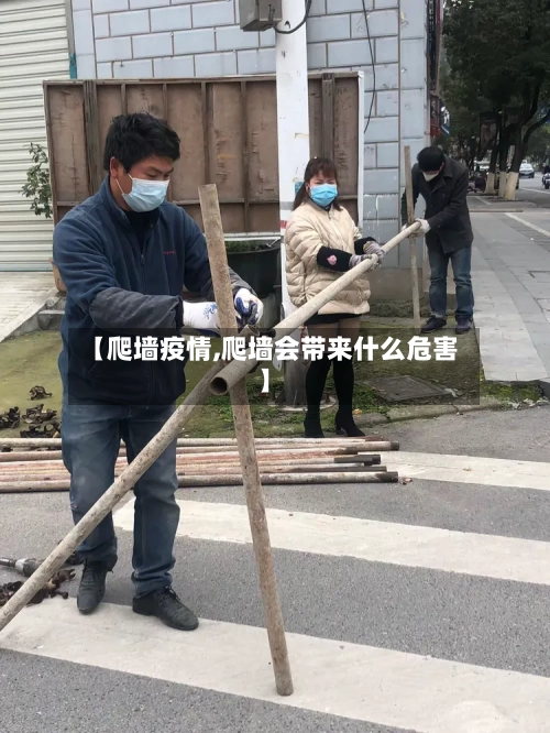 【爬墙疫情,爬墙会带来什么危害】-第1张图片