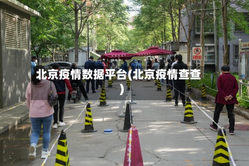 北京疫情数据平台(北京疫情查查)-第1张图片