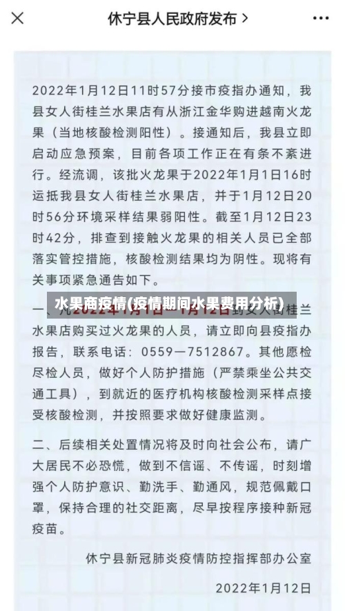 水果商疫情(疫情期间水果费用分析)-第2张图片