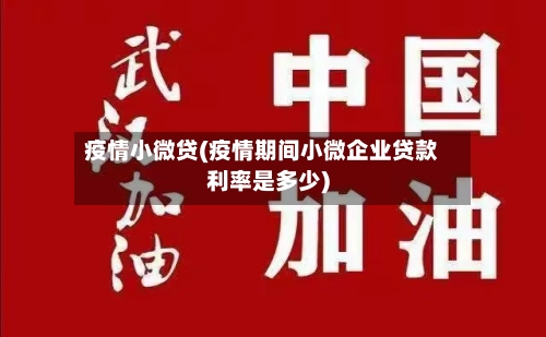 疫情小微贷(疫情期间小微企业贷款利率是多少)-第1张图片