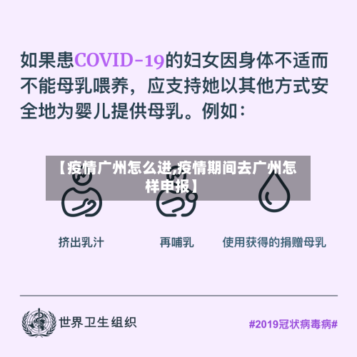 【疫情广州怎么进,疫情期间去广州怎样申报】-第1张图片
