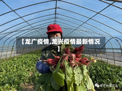 【龙广疫情,龙兴疫情最新情况】-第3张图片