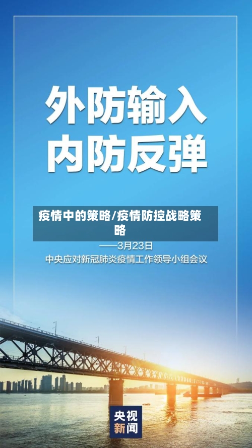 疫情中的策略/疫情防控战略策略-第1张图片