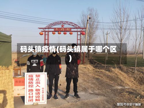 码头镇疫情(码头镇属于哪个区)-第1张图片