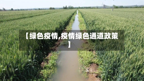 【绿色疫情,疫情绿色通道政策】-第1张图片